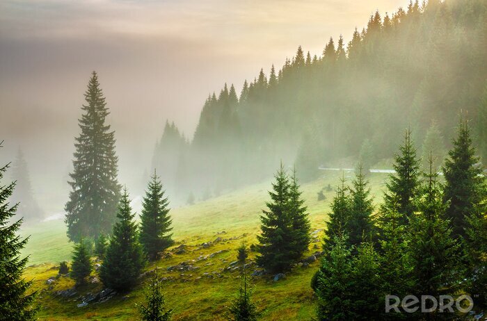 Sticker Grünes gras und bäume am berghang
