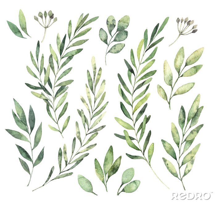 Sticker Hand drawn watercolor illustrations. Botanical clipart. Set of Green leaves, herbs and branches. Floral Design elements. Perfect for wedding invitations, greeting cards, blogs, posters and more