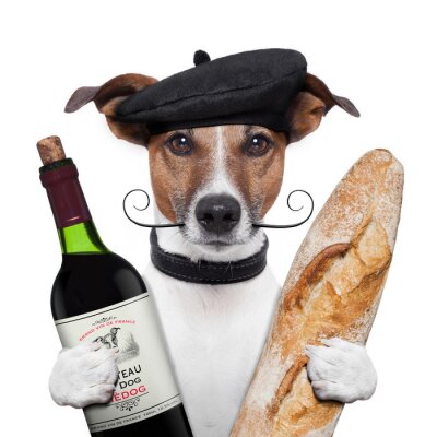 Sticker Haustiere Hund mit französischer Baskenmütze
