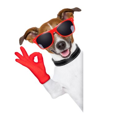 Sticker Haustiere Hund mit rotem Handschuh