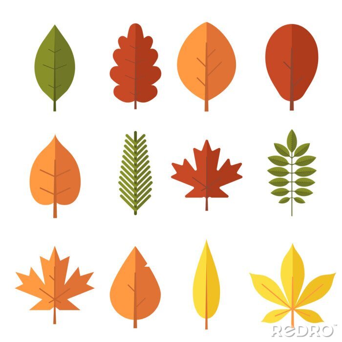Sticker Herbst Blatt flachen Design gesetzt. Grüne, rote und orange gefallene Herbstlaubsammlung. Ahorn, Fichte, Eiche, Eberesche, Birke und mehr Vektor-Blätter isoliert auf weißem Hintergrund.
