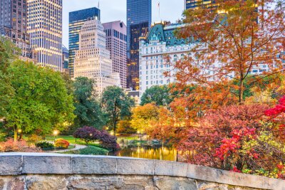 Herbst im Central Park