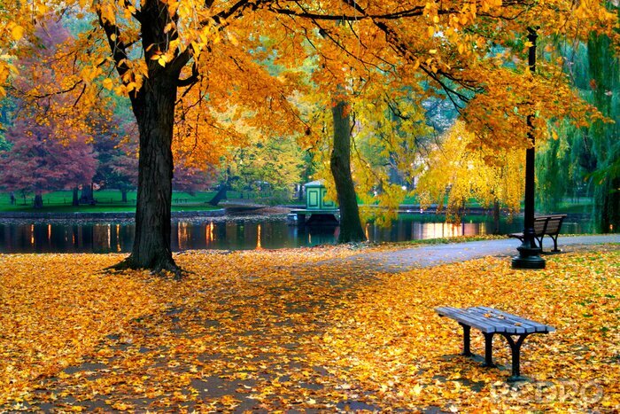 Sticker Herbst im Park golden