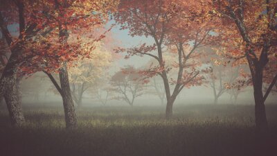 Sticker Herbstwald im Nebel.