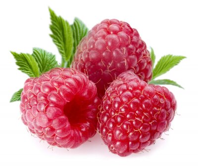 Sticker Himbeeren