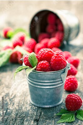 Himbeeren in den kleinen Eimer