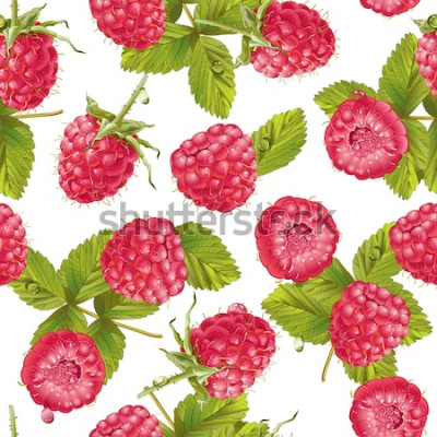 Sticker Himbeeren Retro Illustrationen auf weißem Hintergrund