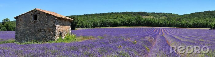 Sticker Historisches Haus und Lavendelfeld