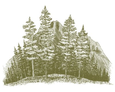 Sticker Holzschnitt-Berg Drawing