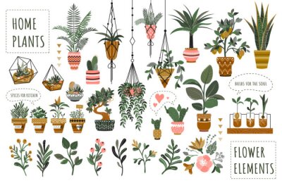 Sticker Houseplants flowerpots isolated icons vector illustration. Decorative home plants, botanical icons and stickers. Flower pots and kitchen herbs, hanging plants, floral decorations collection.