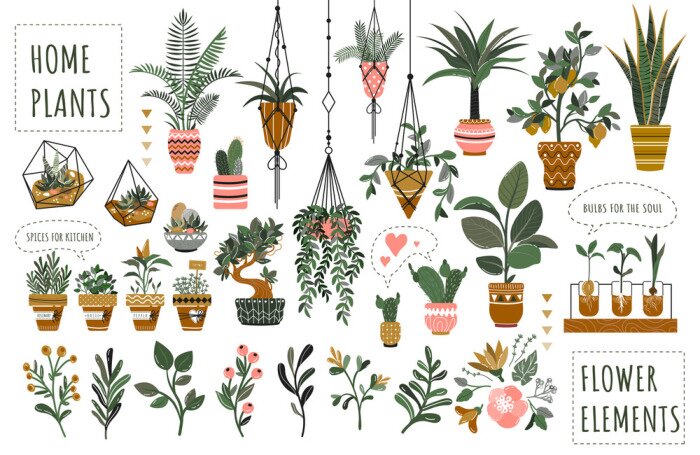 Sticker Houseplants flowerpots isolated icons vector illustration. Decorative home plants, botanical icons and stickers. Flower pots and kitchen herbs, hanging plants, floral decorations collection.