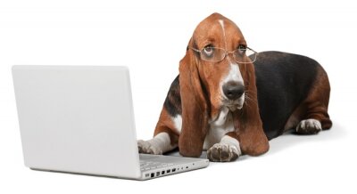 Sticker Hund Familienmitglied mit Brille am Laptop