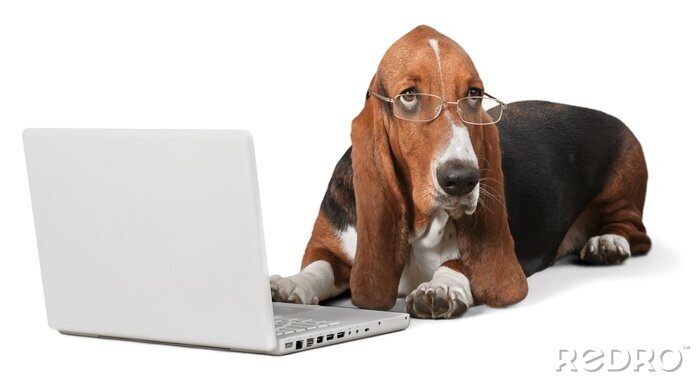 Sticker Hund Familienmitglied mit Brille am Laptop