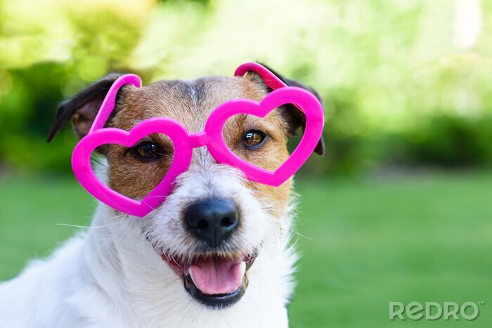 Sticker Hund Familienmitglied mit rosafarbener, herzförmiger Brille