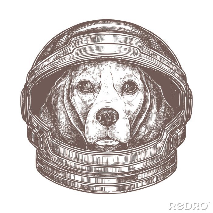 Sticker Hund im Astronautenanzug realistische Grafik