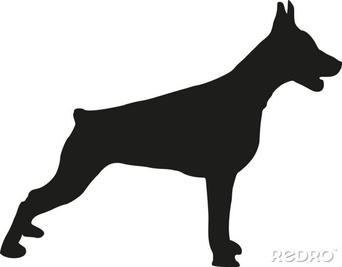 Sticker Hunde Dobermann schwarze Silhouette Grafik