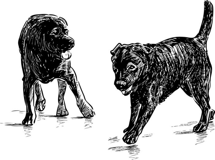 Sticker Hunde in zwei Posen minimalistische Zeichnung