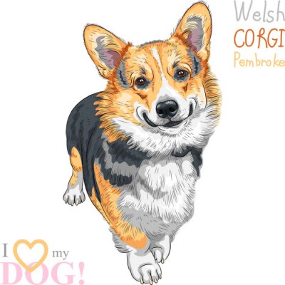 Sticker Hunde lächelnder Corgi und bunte Schriftzüge