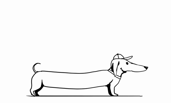 Sticker Hunde Langdackel mit Baseballmütze auf dem Kopf