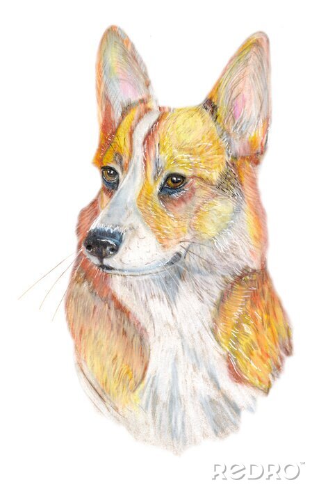 Sticker Hunde Porträt eines Corgi-Hundes Aquarell