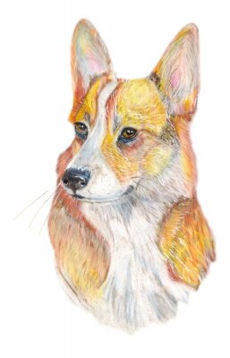 Sticker Hunde Porträt eines Corgi-Hundes Aquarell