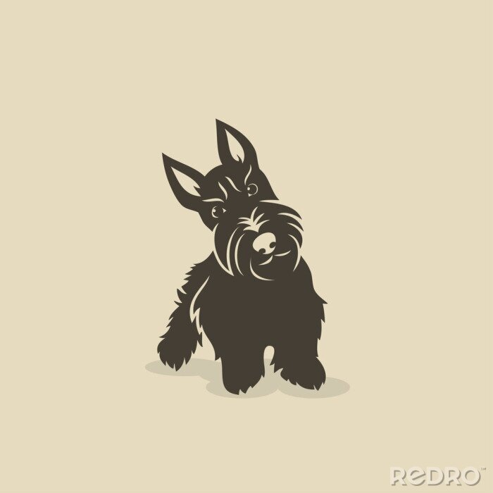 Sticker Hunde Schottischer Terrier mit bedrohlichem Ausdruck auf der Schnauze