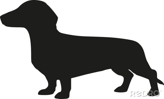 Sticker Hunde schwarze Silhouette von Dackel weißer Hintergrund