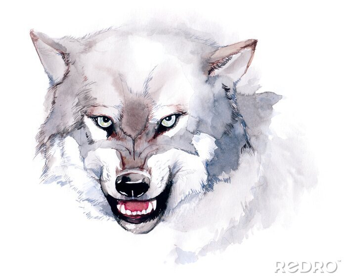 Sticker Illustration eines Wolfes in Aquarell