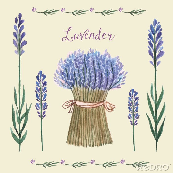 Sticker Illustration mit Lavendelblüten