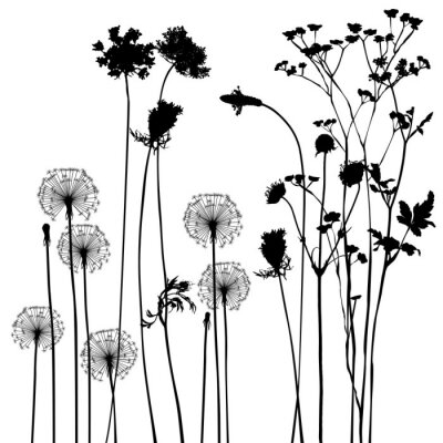Illustration mit verschiedenen Arten von Blumen