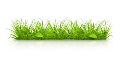 Sticker Illustrierter grüner Rasen