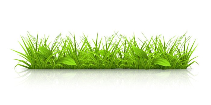 Sticker Illustrierter grüner Rasen