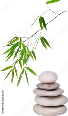 Sticker Isolated grey stones and green bamboo illustration