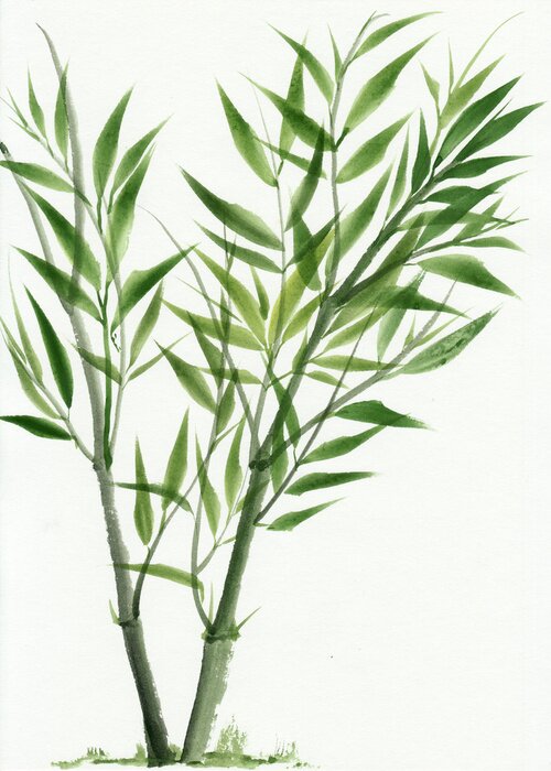 Sticker Junge grüne Bambus