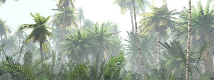 Sticker Jungle in the fog at sunrise, palm trees in the haze