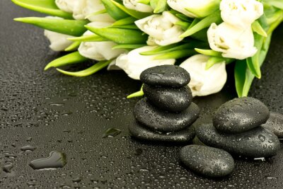 Sticker Kamienie Spa