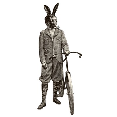 Sticker Kaninchen Radfahren