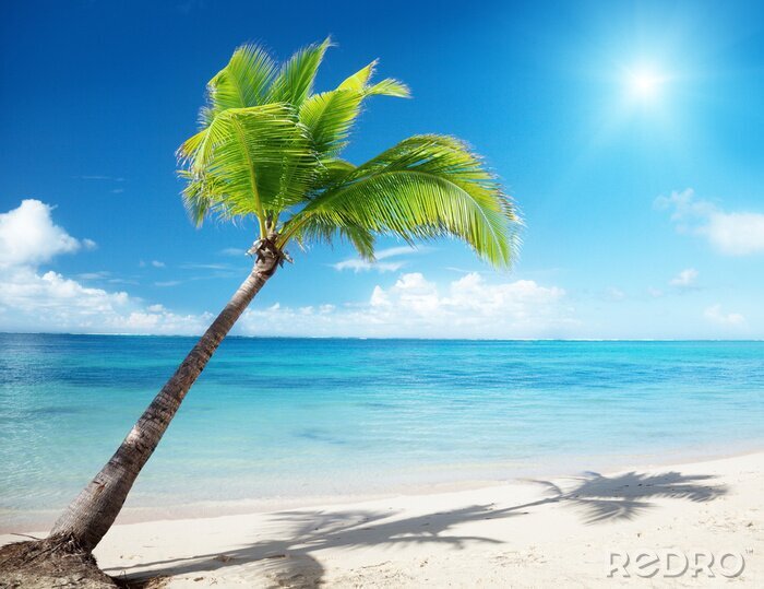 Sticker Karibik und Tropen