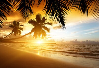 Karibisches Meer und Palmen