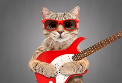 Sticker Katze mit Brille, die eine E-Gitarre hält
