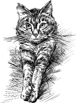 Sticker Katzen Skizze einer Katze mit nach vorne gestreckten Pfoten