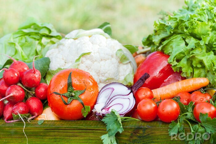 Sticker Kiste mit Gemüse