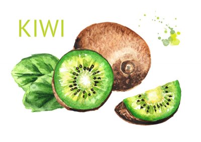 Sticker Kiwi ganz und in Scheiben geschnitten signierte Illustration