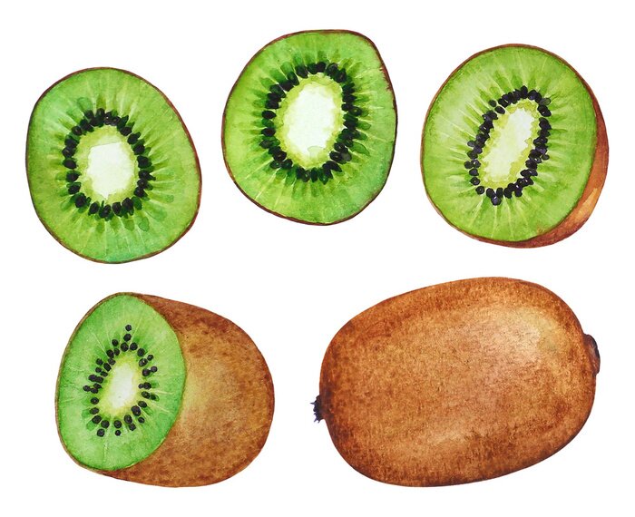 Sticker Kiwis ganz und in Stücken Aquarellillustration