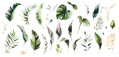 Kleine Pflanzen und Tropenblätter