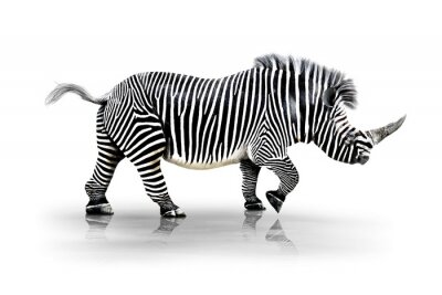 Kombination von Zebra und Nashorn