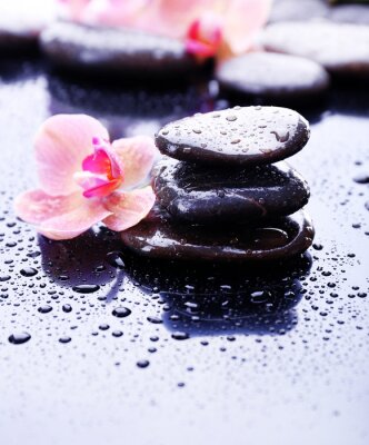 Sticker Komposition mit schönen blühenden Orchidee mit Wassertropfen und