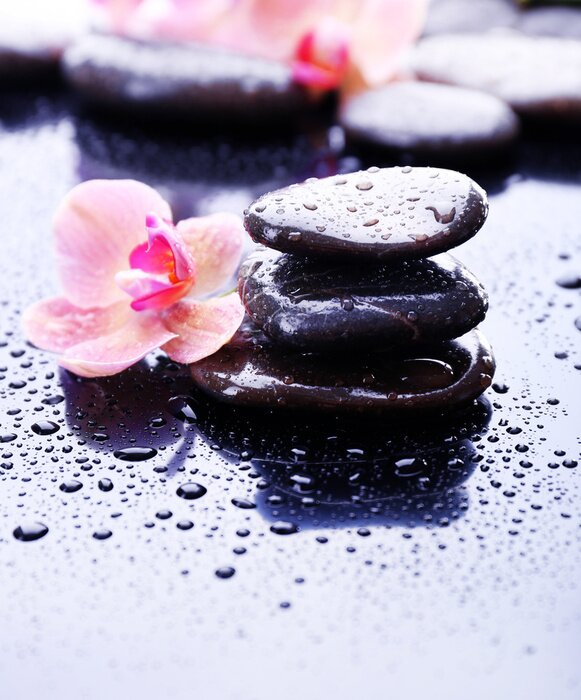 Sticker Komposition mit schönen blühenden Orchidee mit Wassertropfen und