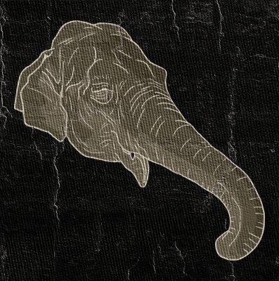 Sticker Kopf eines Elefanten auf schwarzem Hintergrund