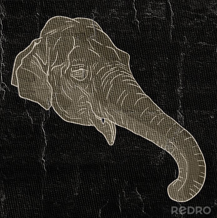 Sticker Kopf eines Elefanten auf schwarzem Hintergrund
